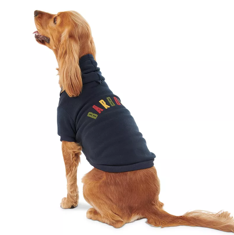 Medium size spaniel dog wearing a luxury Barbour dog jersey hoodie with logo