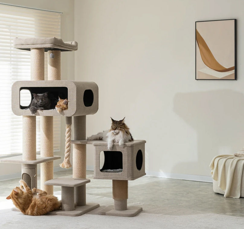 Four large size cats on cat tower with scratchers