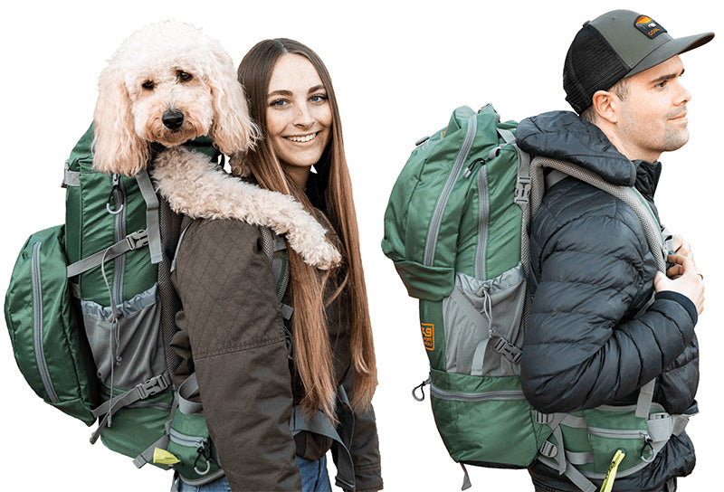Dog owners carrying big dog labradoodle on a backpack K9 Sport Sack carrier