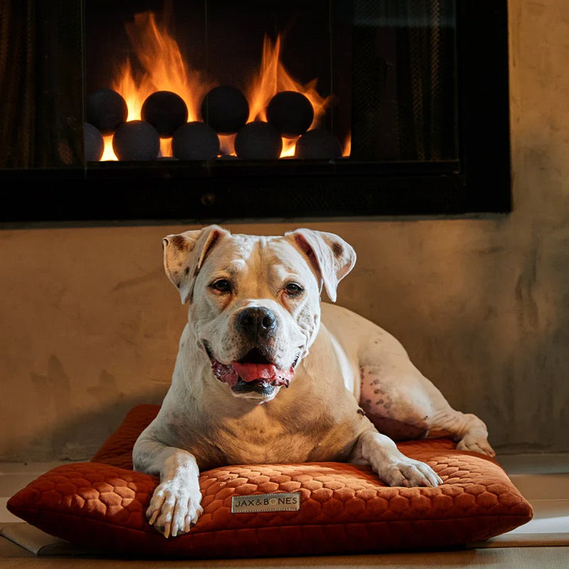 Big dog lying on a red cushion in front of a fireplace