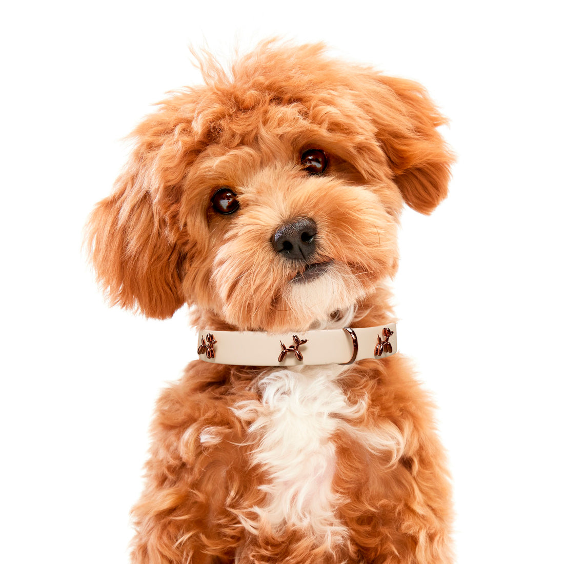 Small Dog Collar With Balloon Jewelry