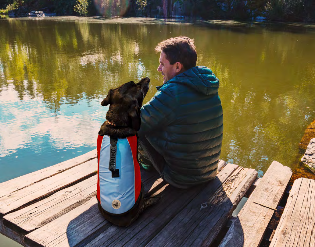 Large dog sitting by the lake with a body glove life vast
