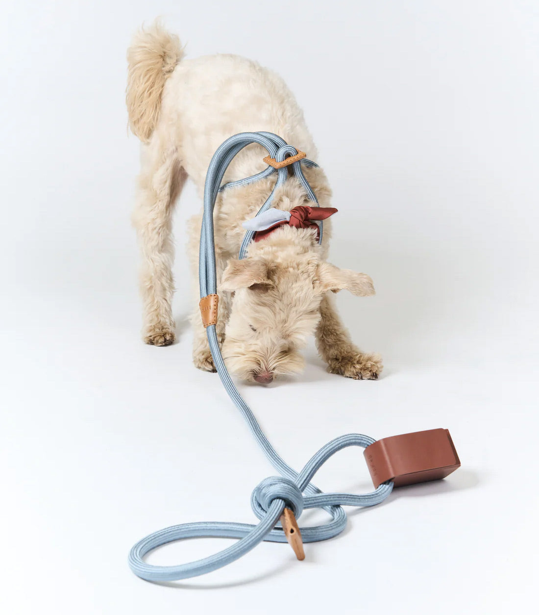 Ray Dog Harness by Boo Oh Elegant Grey