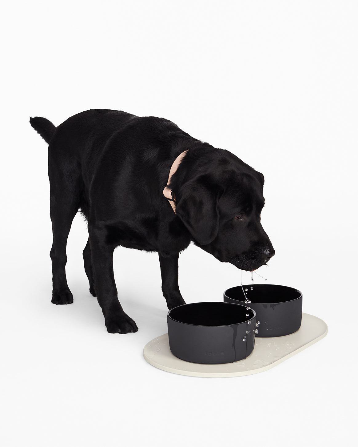 Signature Pet Bowl Mat by Fable