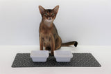Cat with ceramic bowls and pet food placemat