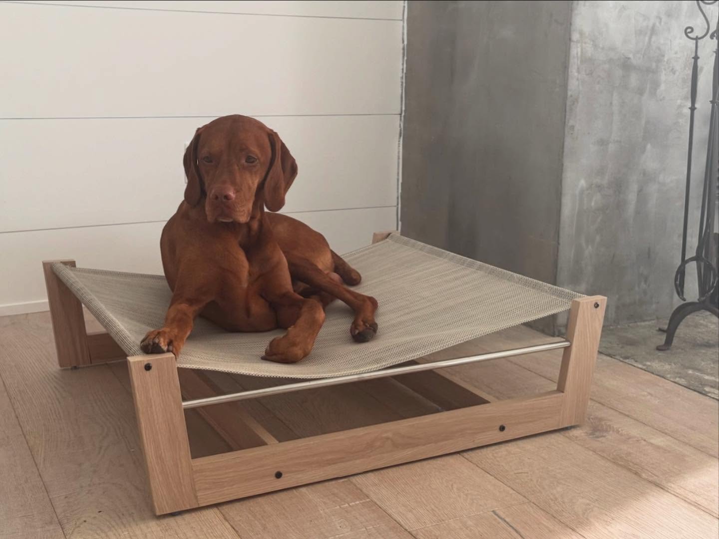 Bowsers Yugen Raised Orthopedic Dog Bed for Large Dogs