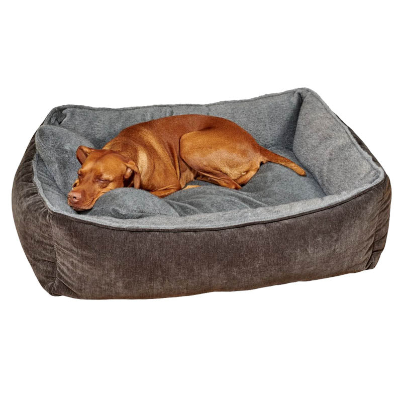Bowsers B-Lounge high-end dog bed