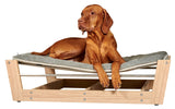 Bowsers pet lounger raised dog bed with mat