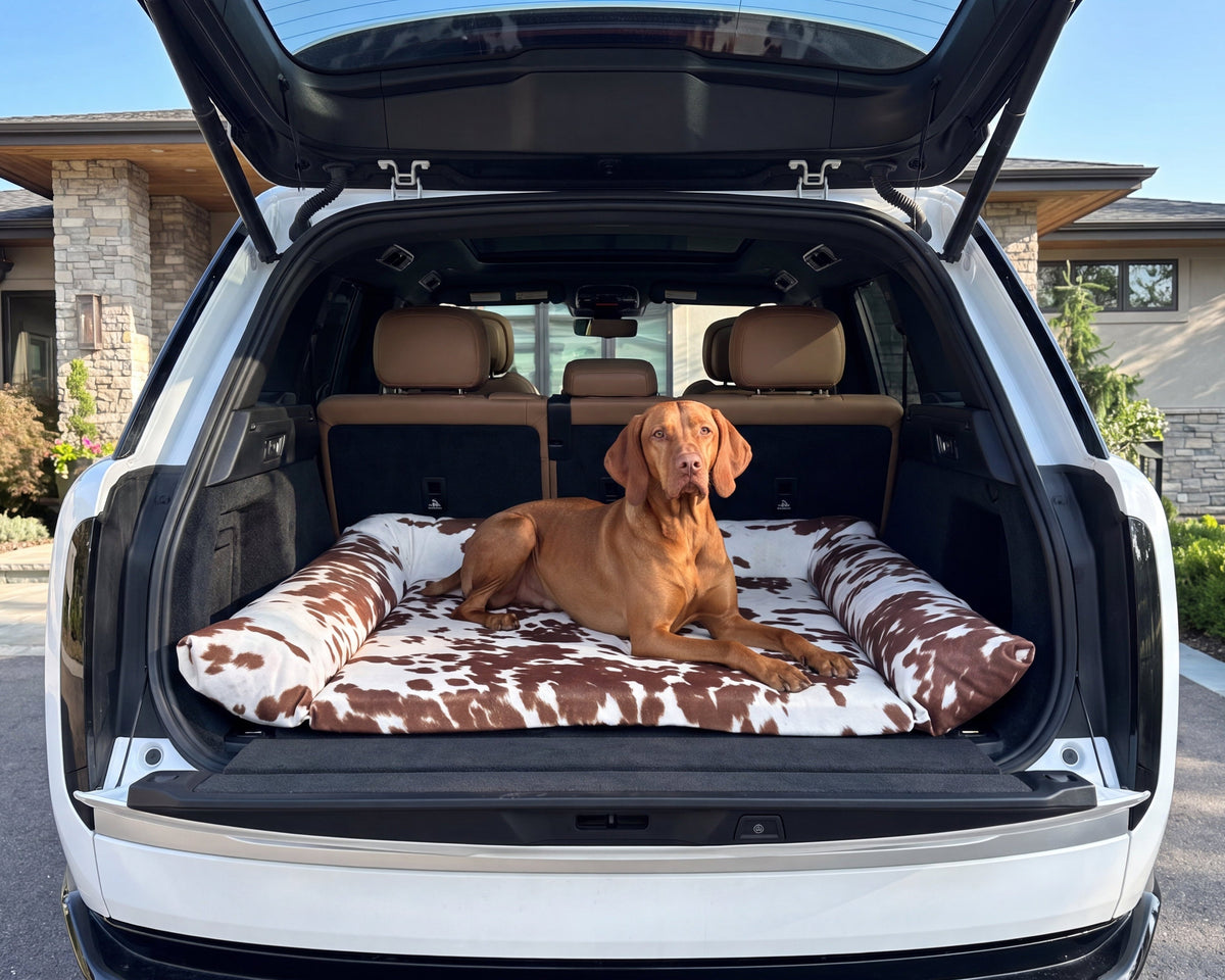 Vizsla lying on the Bowsers SUV Cargo Lounger dog bed in brown cowhide print in the back of a white SUV