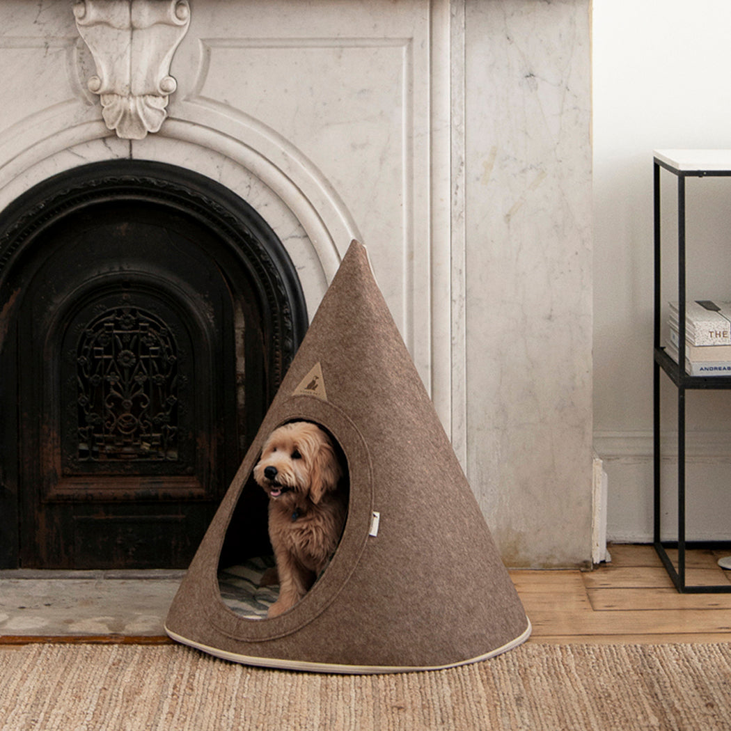 Small dog peeking out from a Nooee pet cave cone-shaped dog bed in a cozy room with a fireplace.