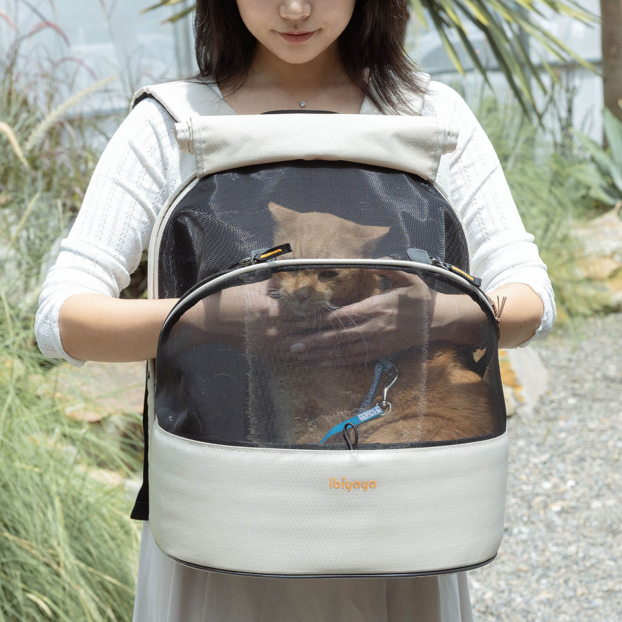 cat owner holding a transparent pet carrier with a cat inside, outdoors.