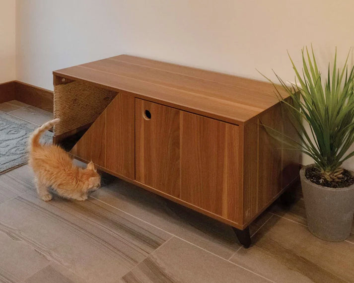 Orange kitten next to a cat furniture nook