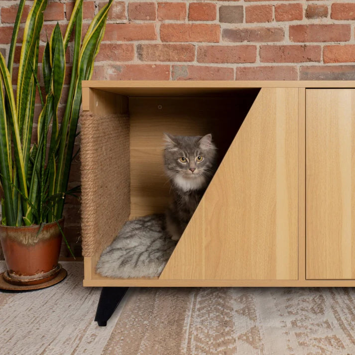 Cat sitting inside the sleek cat litter box cabinet