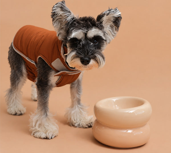 Soufflé Pet Bowl - Cream Beige