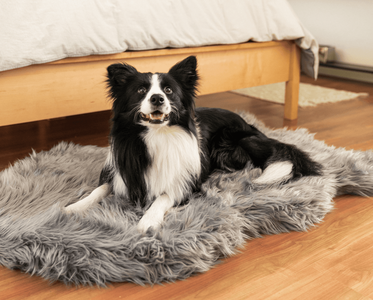 PupRug faux fur orthopedic dog bed in charcoal grey, photo 10