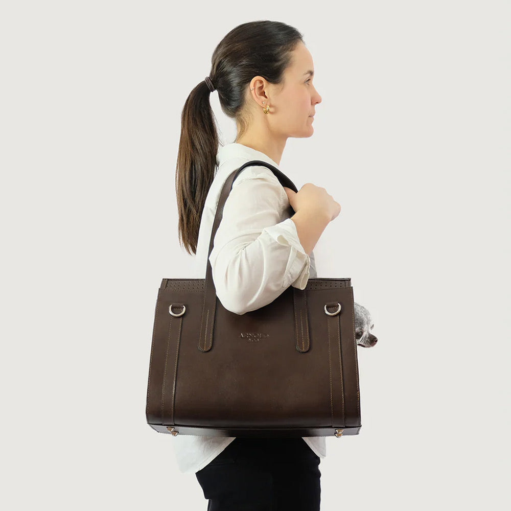 Woman carrying a brown leather hand bag with a toy breed dog inside