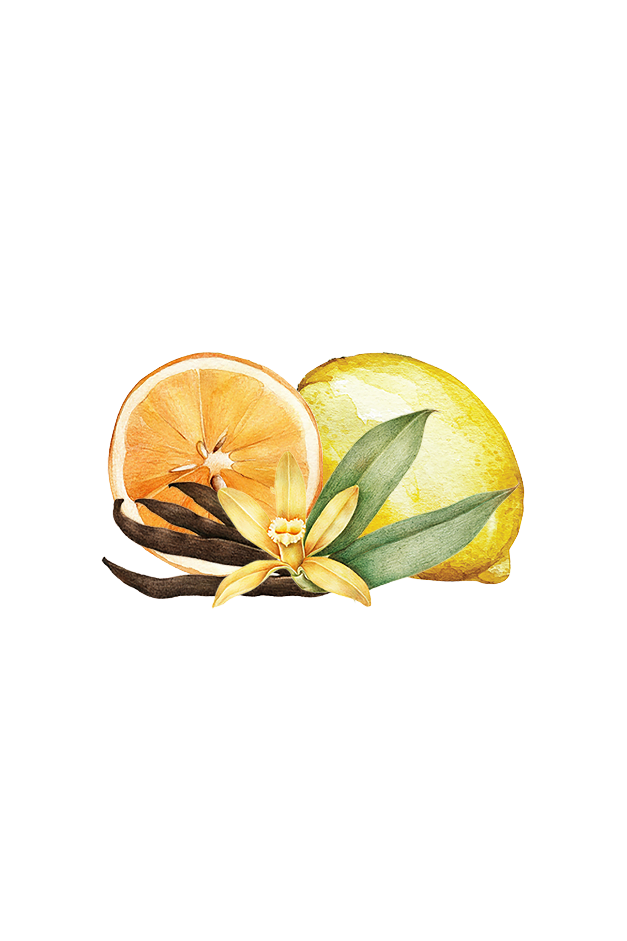 Room Spray | Citrus Vanilla