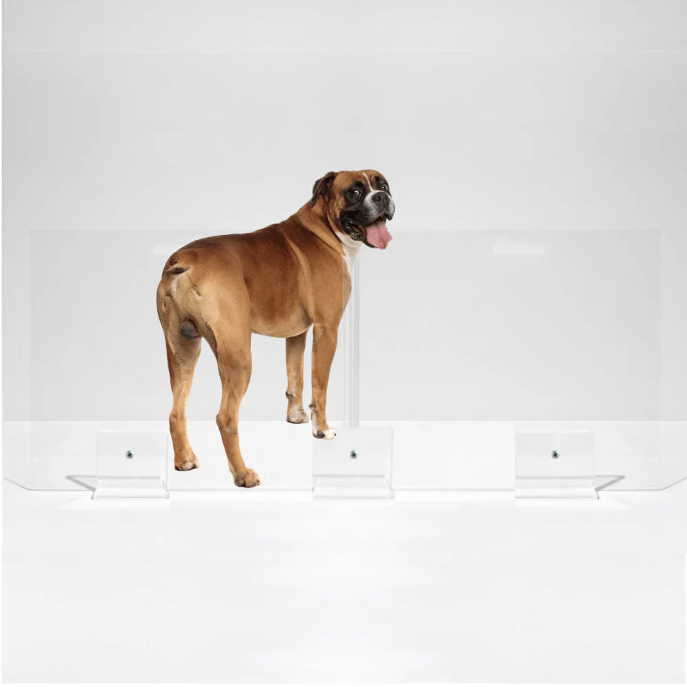 Hiddin Freestanding Acrylic Dog Gate Panel