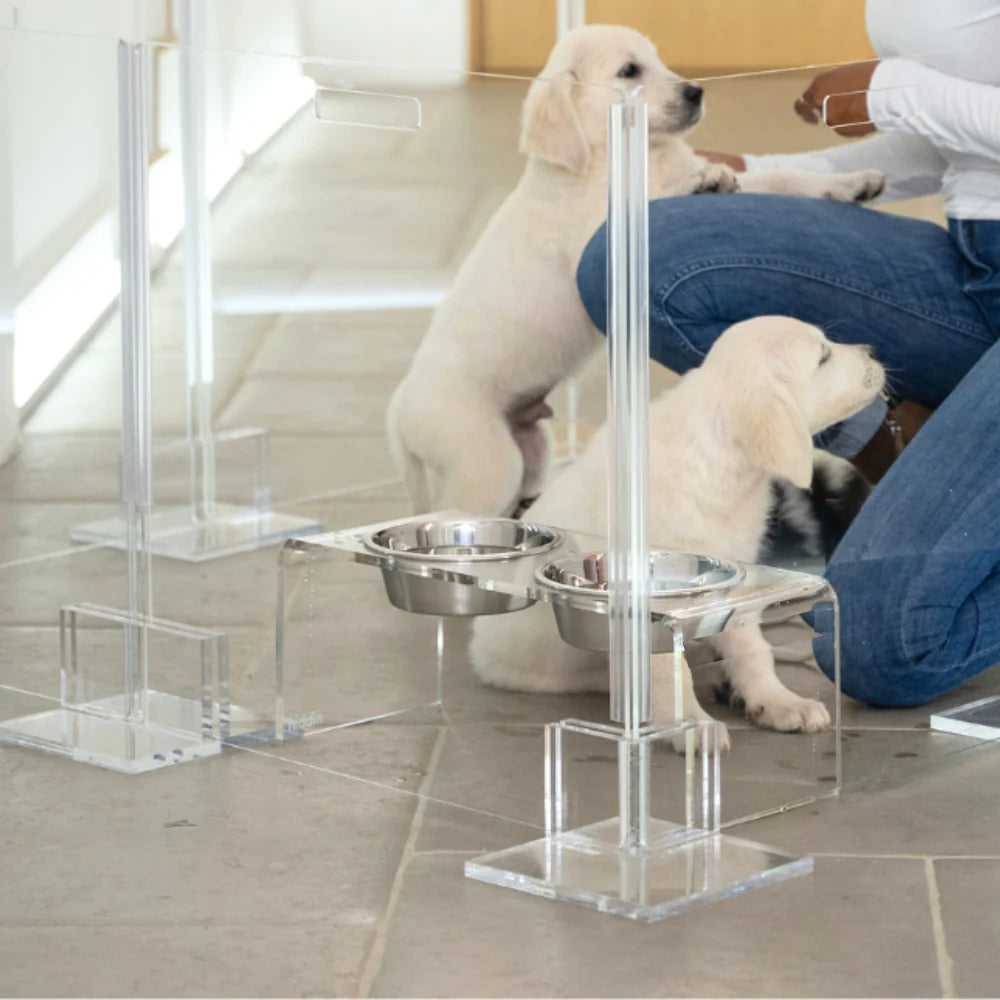 Clear acrylic pet playpen with two puppies and a person in a home setting.