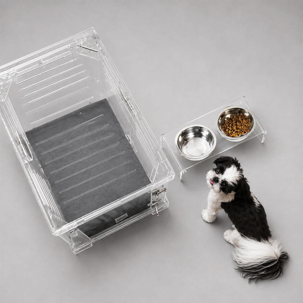 Clear acrylic pet crate with a mat and a matching clear double bowl feeder with stainless steel bowls with a dog.