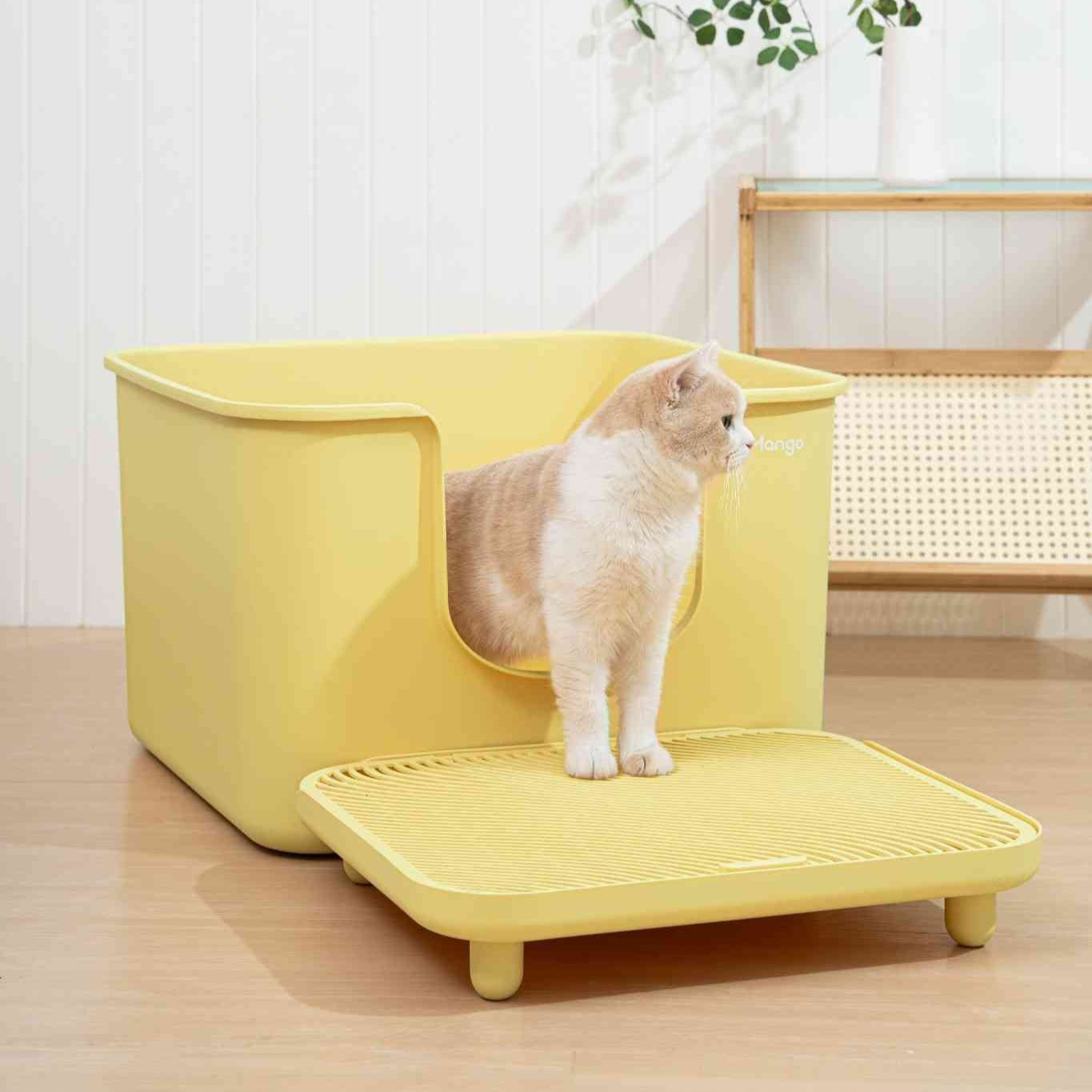 Cat standing on a XXL cat litter box with a tray in a room setting.
