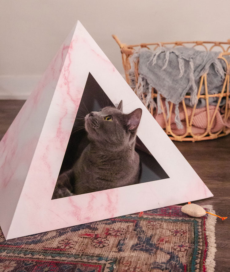 Cardboard Cat House | Rose Quartz