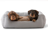 Dachshund puppies on high quality dog bed 