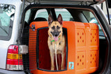 German shepherd inside large size dog kennel orange crate placed inside SUV trunk