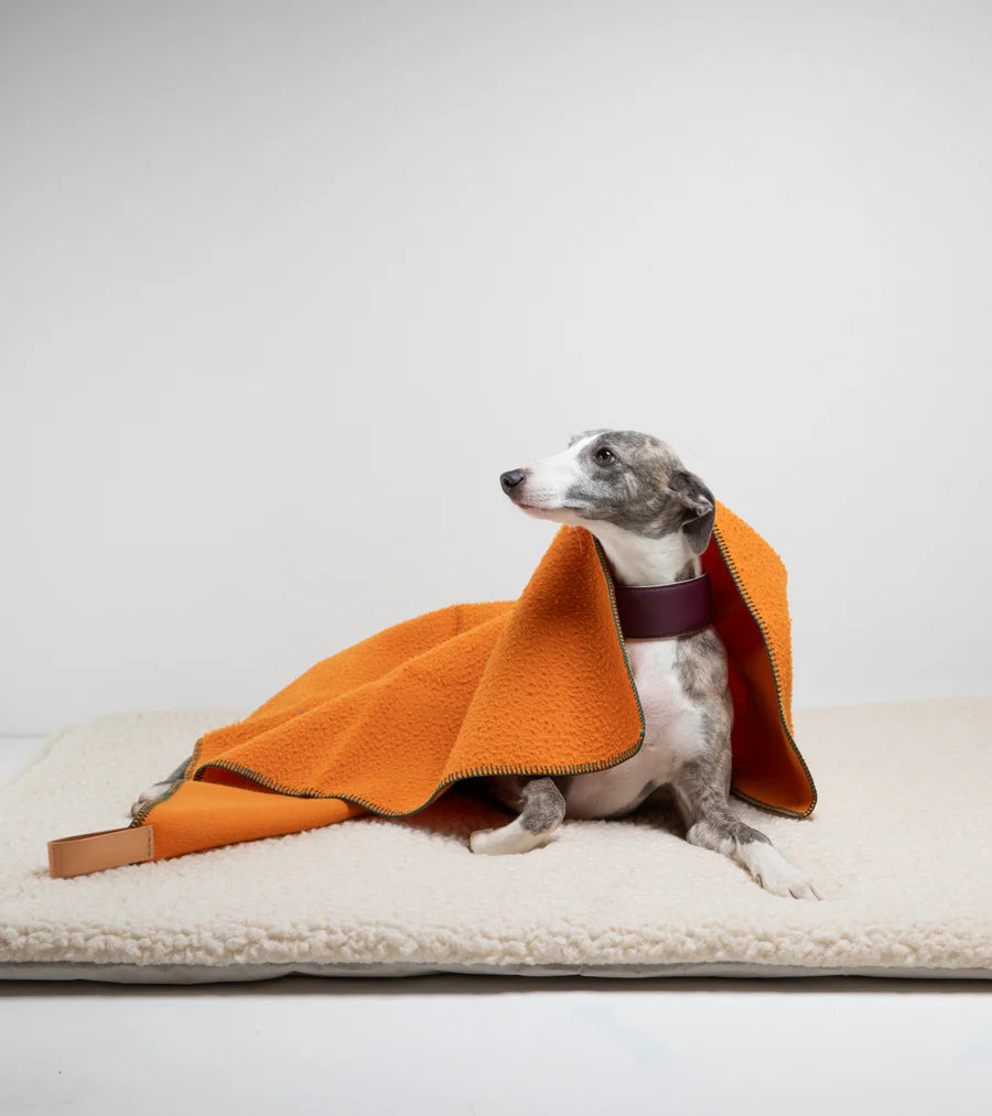 Warm wool dog blanket by designer brand 2.8 Designs