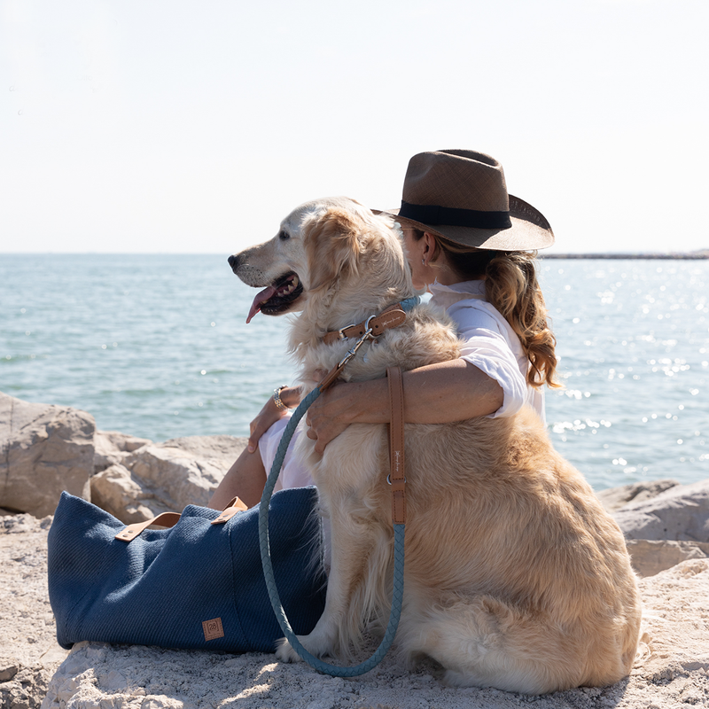 golden retriever with a luxurious vegan dog collar and leash set sitting with a dog mom