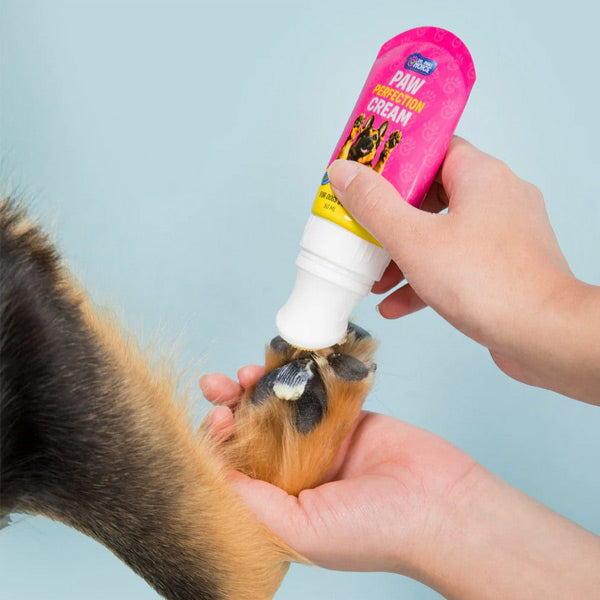 Person applying paw protection cream to a dog's paw against a light blue background