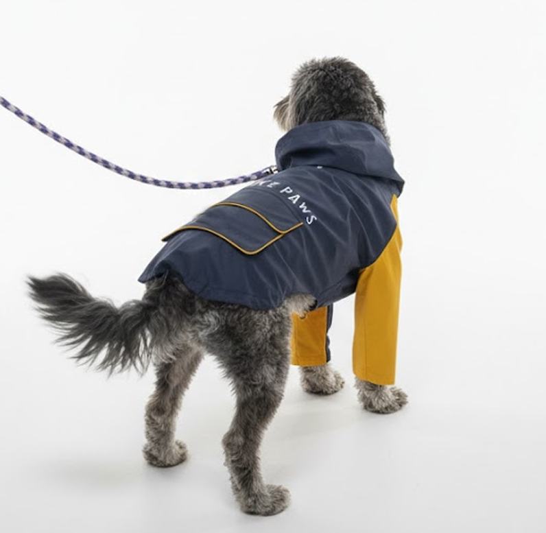 Dog wearing a navy raincoat with a hood and legs