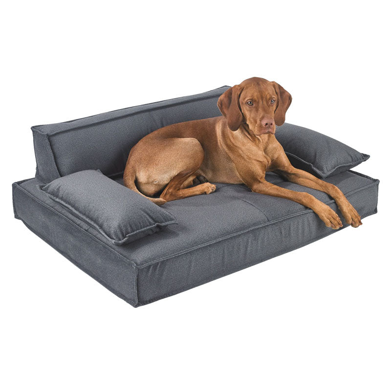Large ridgeback breed on a sofa dog bed