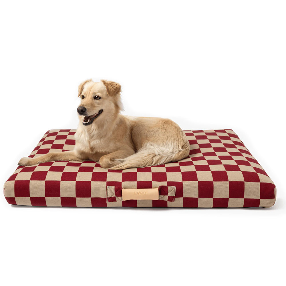 Large dog lying on a red and beige checkered eco-friendly dog bed with a white background