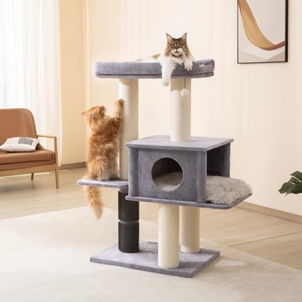 Two maine coon cats on a multi-level extra large cat tree in a living room setting.