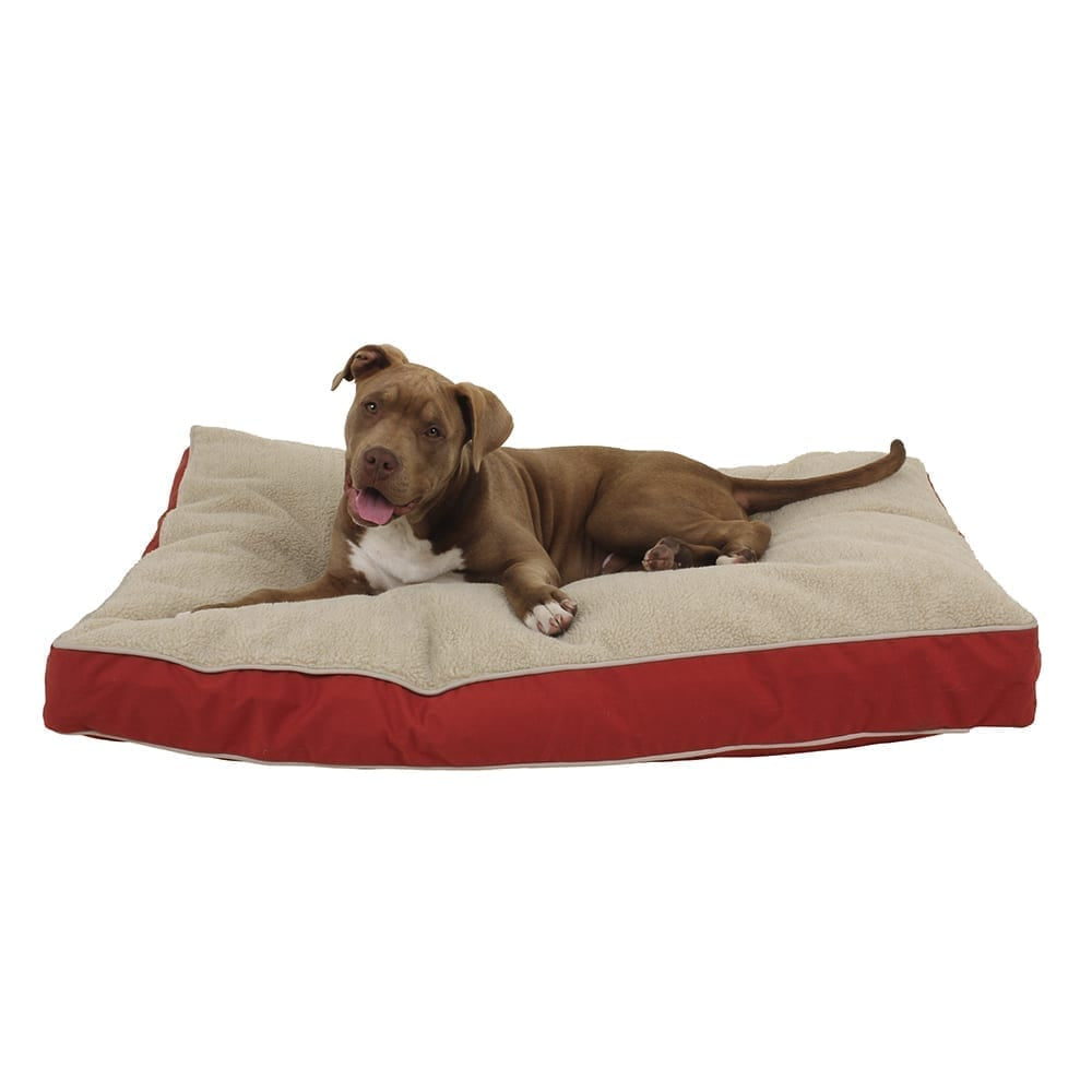 Pitbull dog lying on a large red and beige pet bed