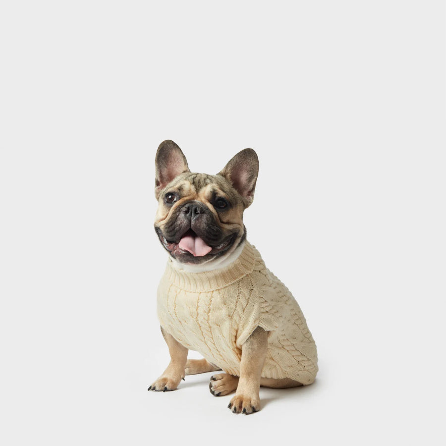 Shinola Cable Knit Dog Sweater For Small to XL Dogs