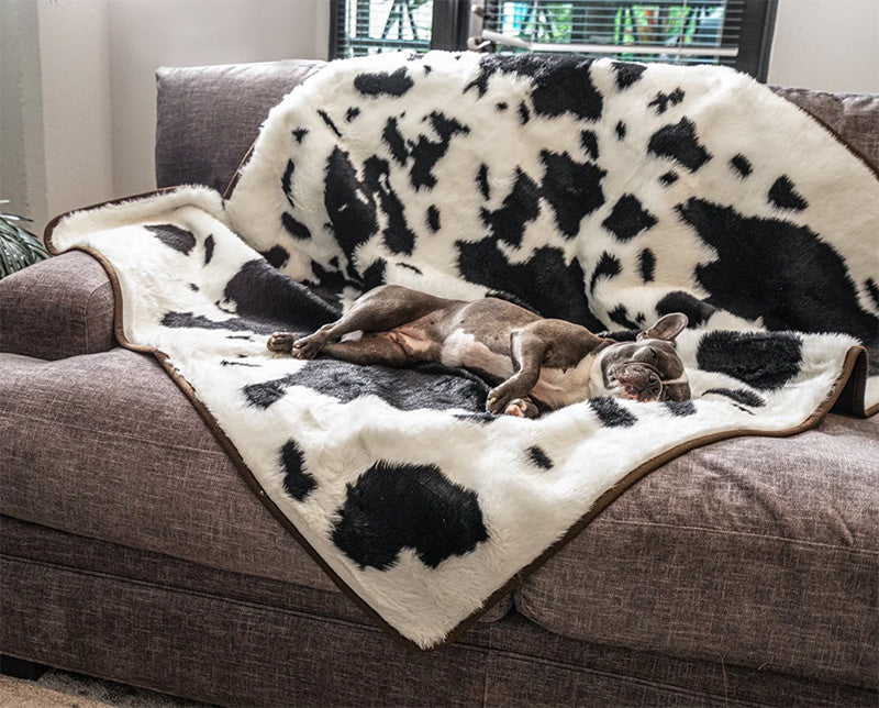 Protect your furniture with paw blanket for dogs in chic cowhide pattern