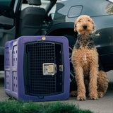 large dog standing next to dakota dog kennel for travel