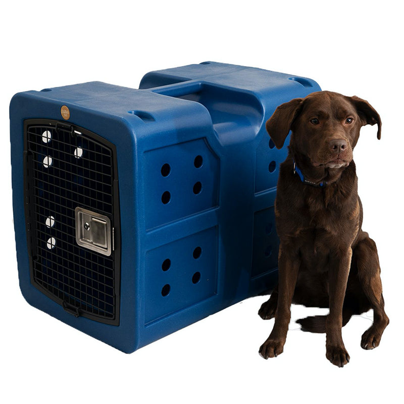 medium size labrador standing next to dakota dog kennel in blue color