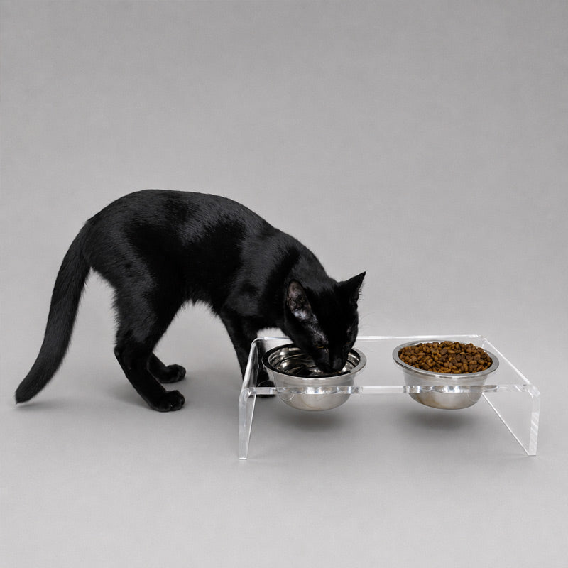 Hiddin Small Pet Feeder with Stainless Steel Bowls & Raised Acrylic Stand