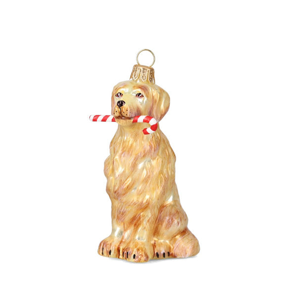 Glass ornament of a Golden retriever dog breed with a candy cane in its mouth on a white background