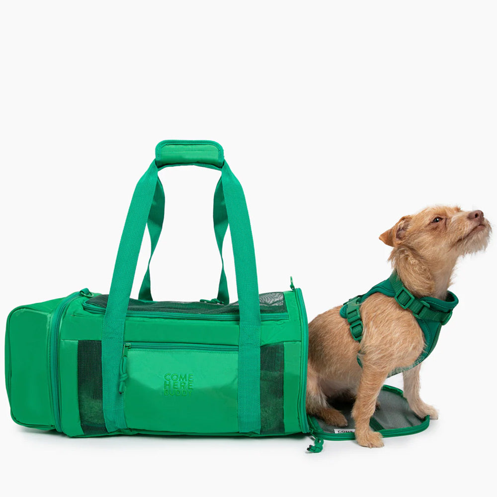 Travel Buddy Stylish Pet Carrier For Cats & Dogs