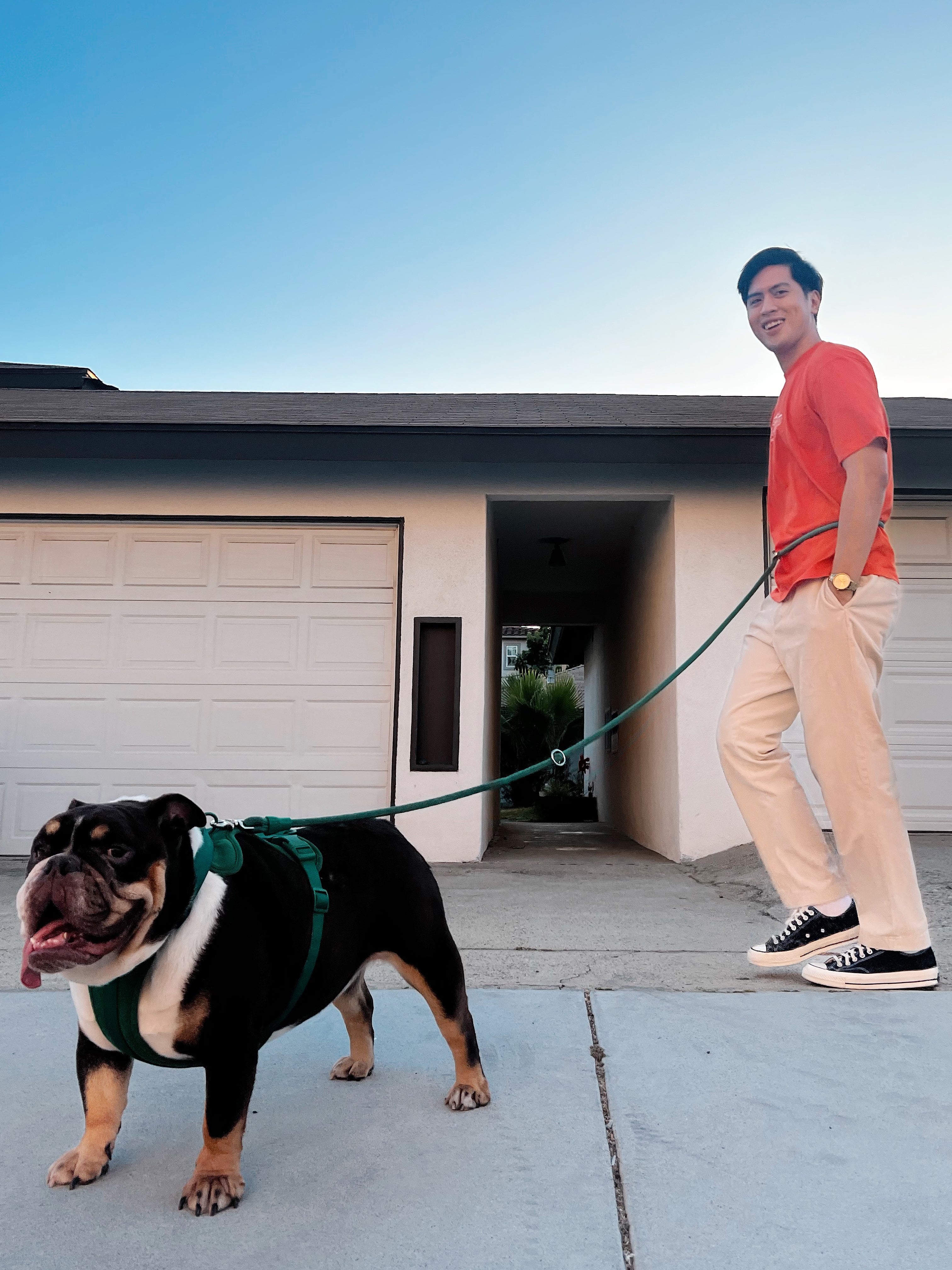 Man walking a bulldog on a leash on his hips