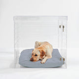 Golden retriever inside large size dog crate by Hiddin acrylic gates and crates.