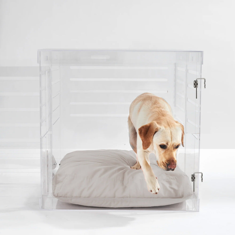 Large size dog exiting clear acrylic extra large dog crate