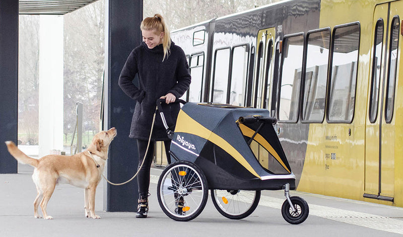 Dog mom taking the subway with her Labrador Retriever and dog stroller