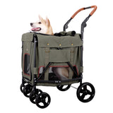 Medium size dog inside Ibiyaya pet stroller wagon