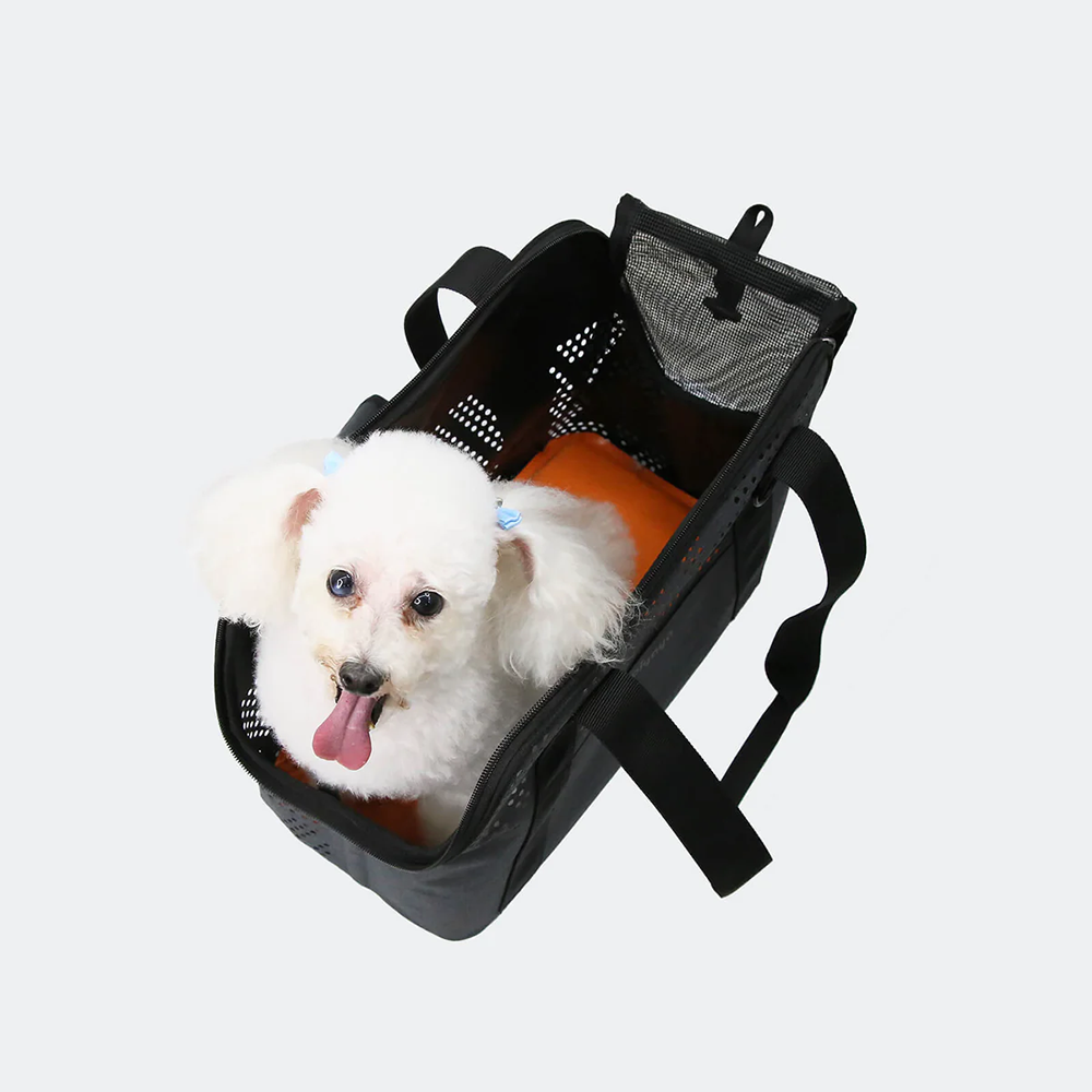 White poodle dog in a black pet carrier tote bag on a light gray background