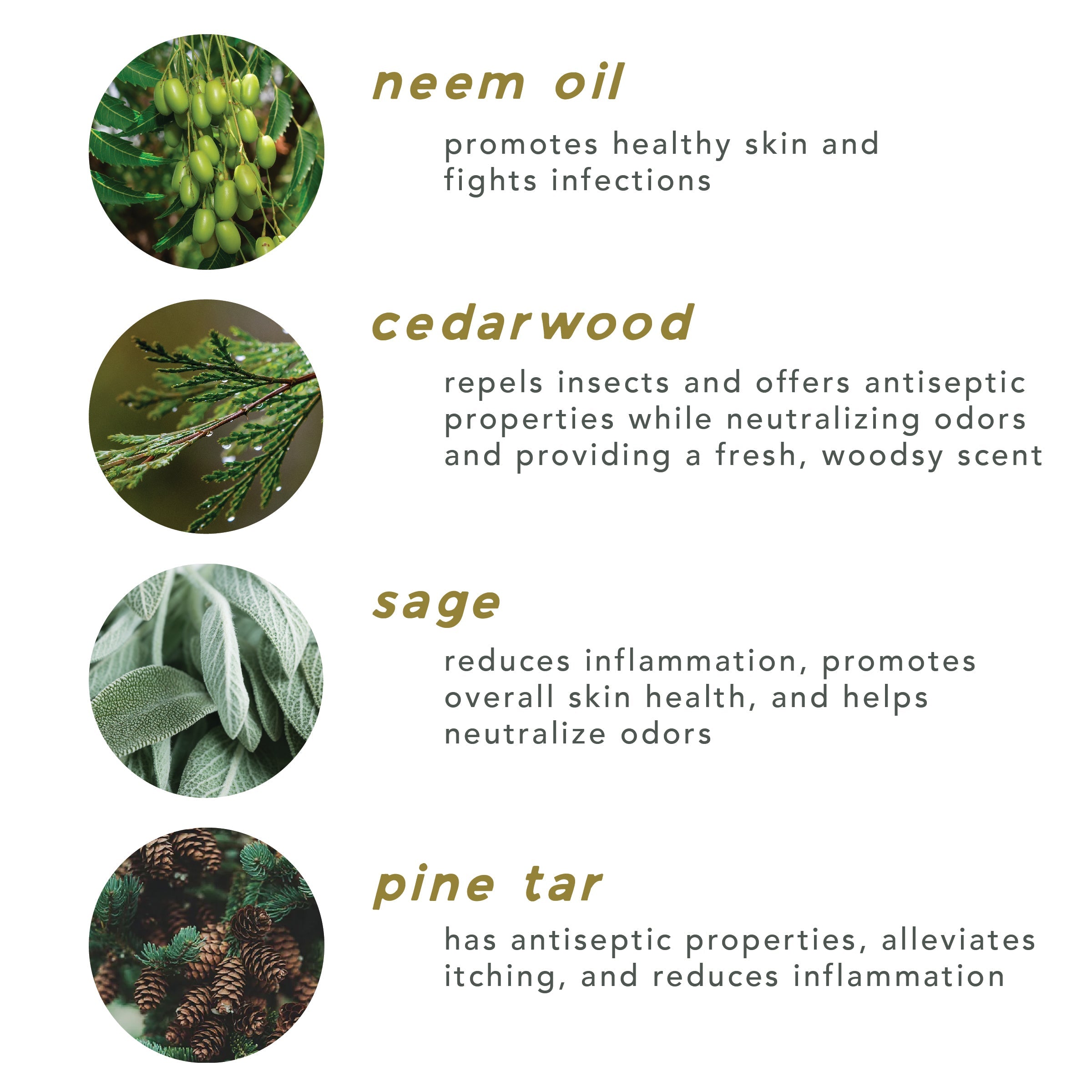 Dog Shampoo Bar / All-Natural